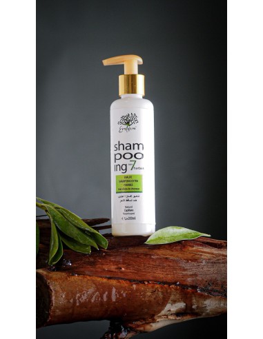 شامبو اكليل الجبل طبيعي معالج للشعر (اكسترا 7 أعشاب) Shampooing a base de romarin