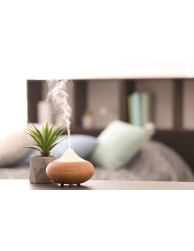 Diffuseur huile essentielle موزع الزيوت الأساسية العطرية