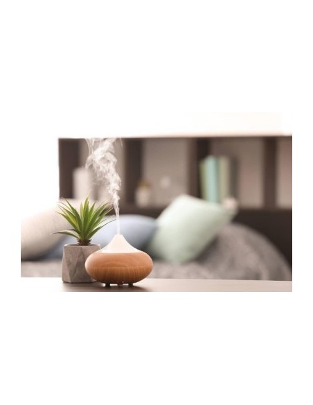 Diffuseur huile essentielle موزع الزيوت الأساسية العطرية