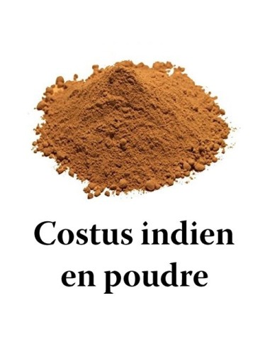 Costus indien (القسط الهندي)