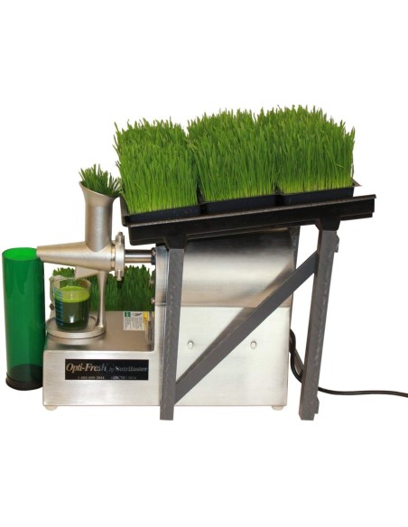 عشبة القمح (رشاقة, كلسترول, إنجاب) (70غ) - (germe de blé) Wheatgrass