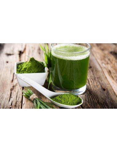 عشبة القمح (رشاقة, كلسترول, إنجاب) (70غ) - (germe de blé) Wheatgrass