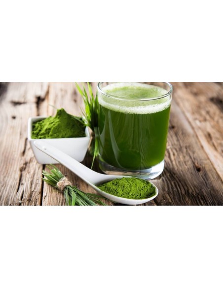 عشبة القمح (رشاقة, كلسترول, إنجاب) (70غ) - (germe de blé) Wheatgrass