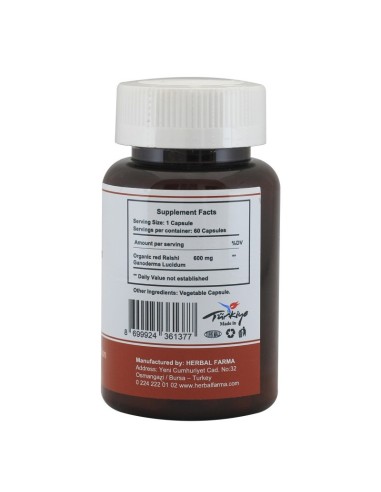 Ganoderma Reishi - الفطر الريشي الاحمر