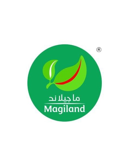 Magilande